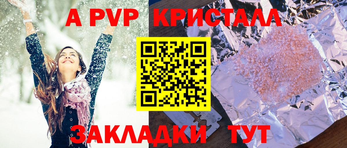 A PVP СК КРИС Великий Новгород