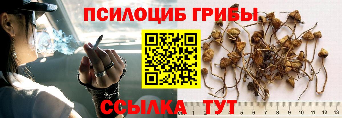 Псилоцибиновые грибы Psilocybine cubensis  Вход с VPN  Галлюциногенные грибы ЛСД  Великий Новгород 